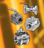 Standard Process, Special Service & High Performance Valves